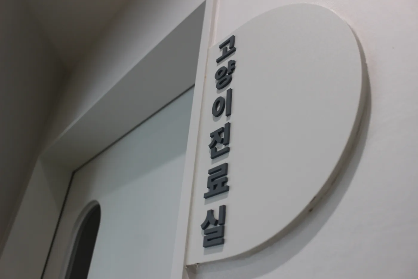 늘숨동물병원 고양이 진료실 입구에 붙은 사인